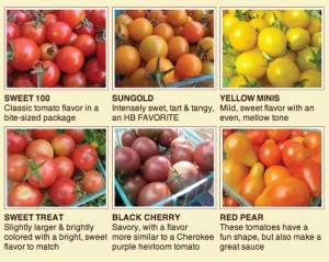 tomato timer sites with chart