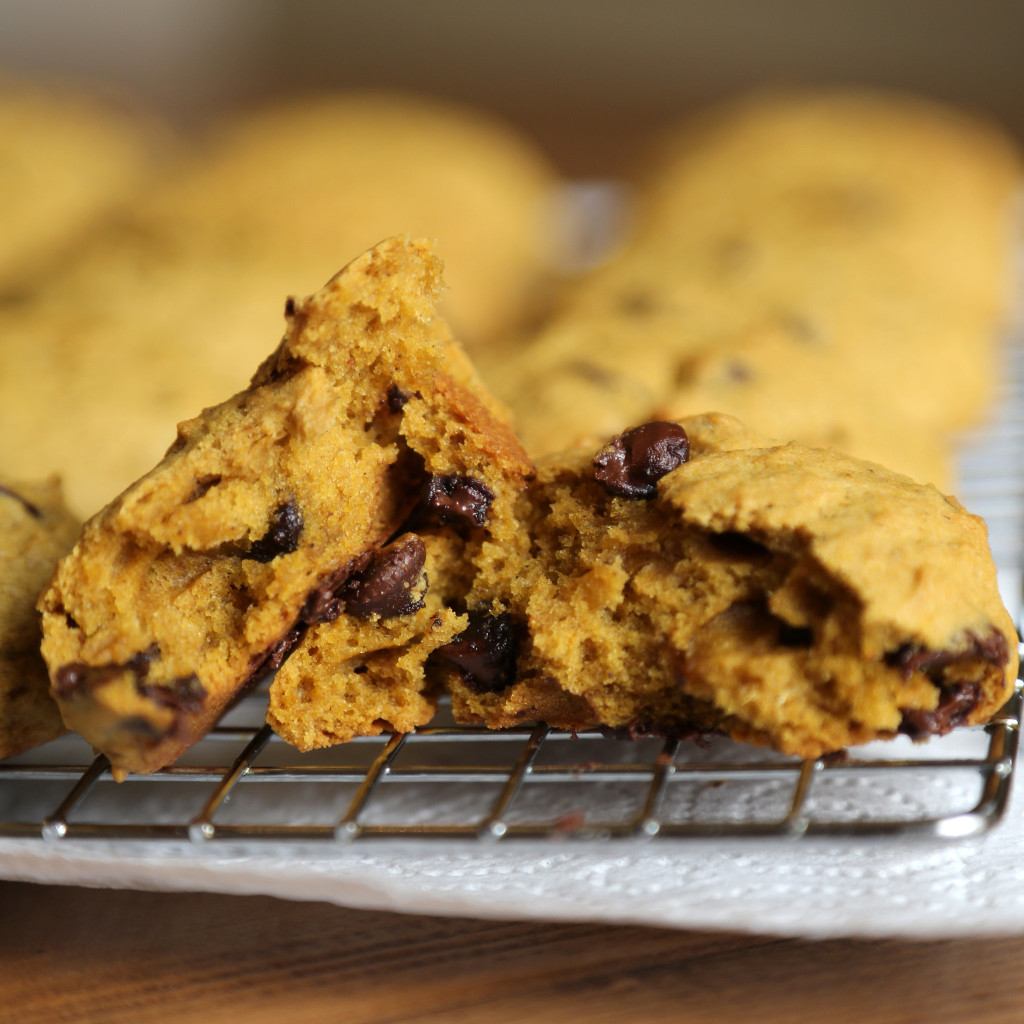 pumpkin-chocolate-chip-cookies